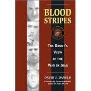 Blood Stripes The Grunt's View of the War in Iraq
