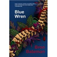 Blue Wren