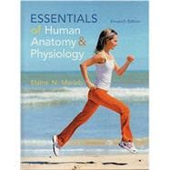 Marieb, Essentials of Human Anatomy and Physiology 11th Edition ©2015
