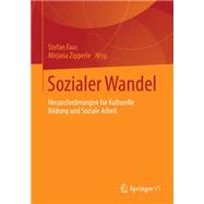 Sozialer Wandel