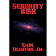 Security Risk