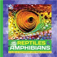 Reptiles & Amphibians A close-up photographic look inside your world