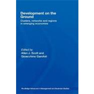 Development on the Ground : Clusters, Networks and Regions in Emerging Economies