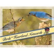 Birds of the Heartland Notecards