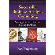 Successful Business Analysis Consulting Strategies and Tips for Going It Alone