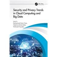 Security and Privacy Trends in Cloud Computing and Big Data