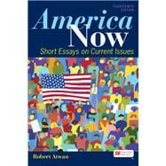 America Now Short Essays on Current Issues