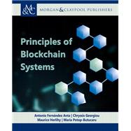 Principles of Blockchain Systems