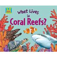 What Lives in Coral Reefs?