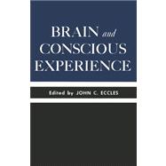 Brain and Conscious Experience