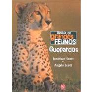 Diario de grandes felinos: guepardos