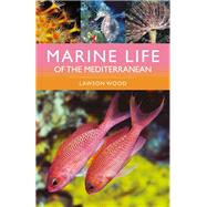 Marine Life of the Mediterranean