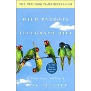 The Wild Parrots of Telegraph Hill A Love Story . . . with Wings