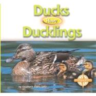 Ducks Have Ducklings