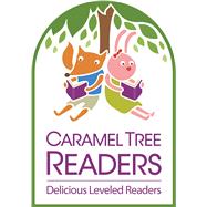 Delicious Leveled Readers Library Set