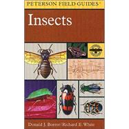 A Field Guide to Insects: America North of Mexico