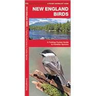 New England Birds A Folding Pocket Guide to Familiar Species