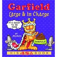 Garfield Large & in Charge His 45th Book