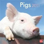 Pigs 2011 Calendar