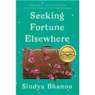 Seeking Fortune Elsewhere Stories book cover, ISBN 9781646221738