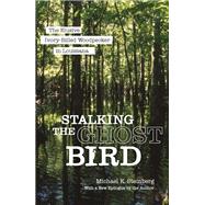 Stalking the Ghost Bird