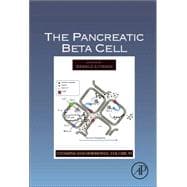 The Pancreatic Beta Cell