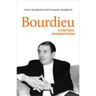 Bourdieu A Critical Introduction
