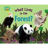 What Lives in the Forest?