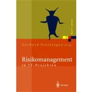 Risikomanagement in It-projekten