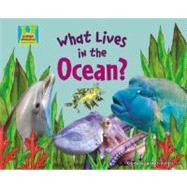 What Lives in the Ocean?