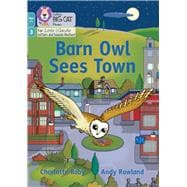 Barn Owl Sees Town Phase 3 Set 1 Blending practice