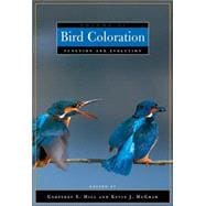 Bird Coloration