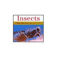 Insects : A Golden Photo Guide from St. Martin's Press