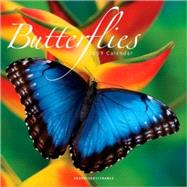 Butterflies 2009 Calendar