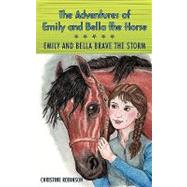 The Adventures of Emily and Bella the Horse: Emily and Bella Brave the Storm