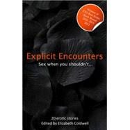 Explicit Encounters: A Collection of Twenty Erotic Stories