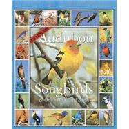 Audubon 365 Songbirds 2002 Calendar
