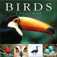 Birds : A Visual Guide