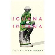 Iguana Iguana book cover, ISBN 9781646051779