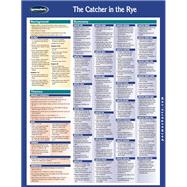 CATCHER IN THE RYE :LITNOTES (10 PACK)