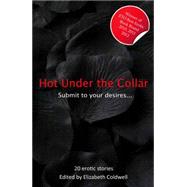 Hot Under the Collar: A Collection of Twenty Erotic Stories