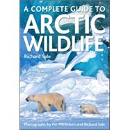 A Complete Guide to Arctic Wildlife