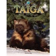 Taiga