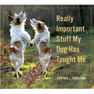 Really Important Stuff My Dog Has Taught Me