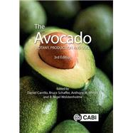 The Avocado