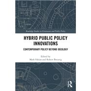 Hybrid Policy Innovations in Comparative Perspective: Contemporary Advances in Theory and Practice