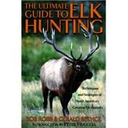 Ultimate Guide to Elk Hunting