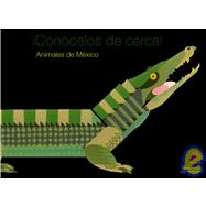 Conocelos de cerca! Animales de Mexico/ Meet them closely! Animals of Mexico: Animales de Mexico