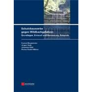 Schutzbauwerke gegen Wildbachgefahren: Grundlagen, Entwurf und Bemessung, Beispiele