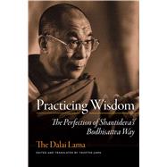 Practicing Wisdom : The Perfection of Shantideva's Bodhisattva Way